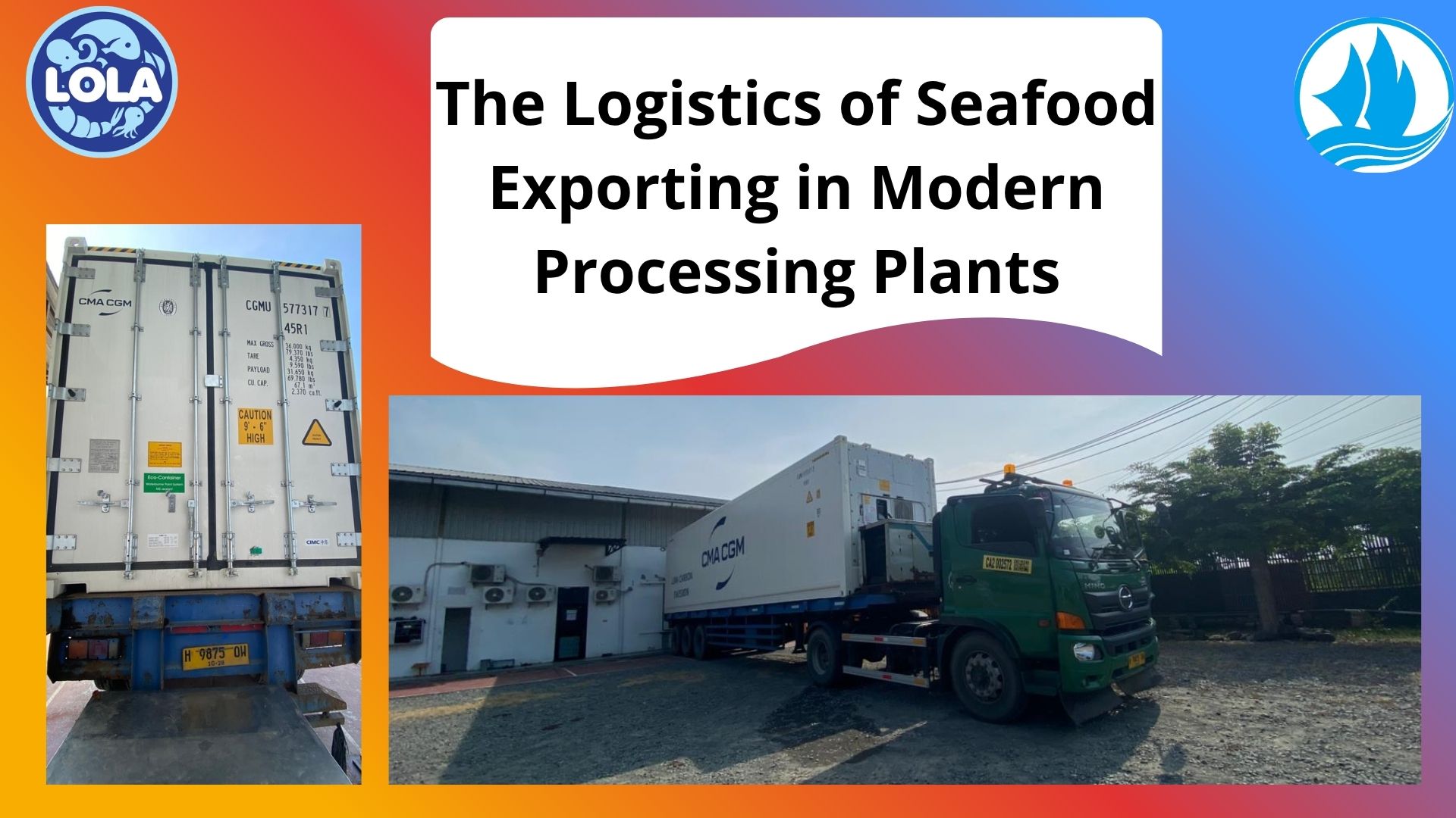  The Logistics of Seafood Exporting in Modern Processing Plants